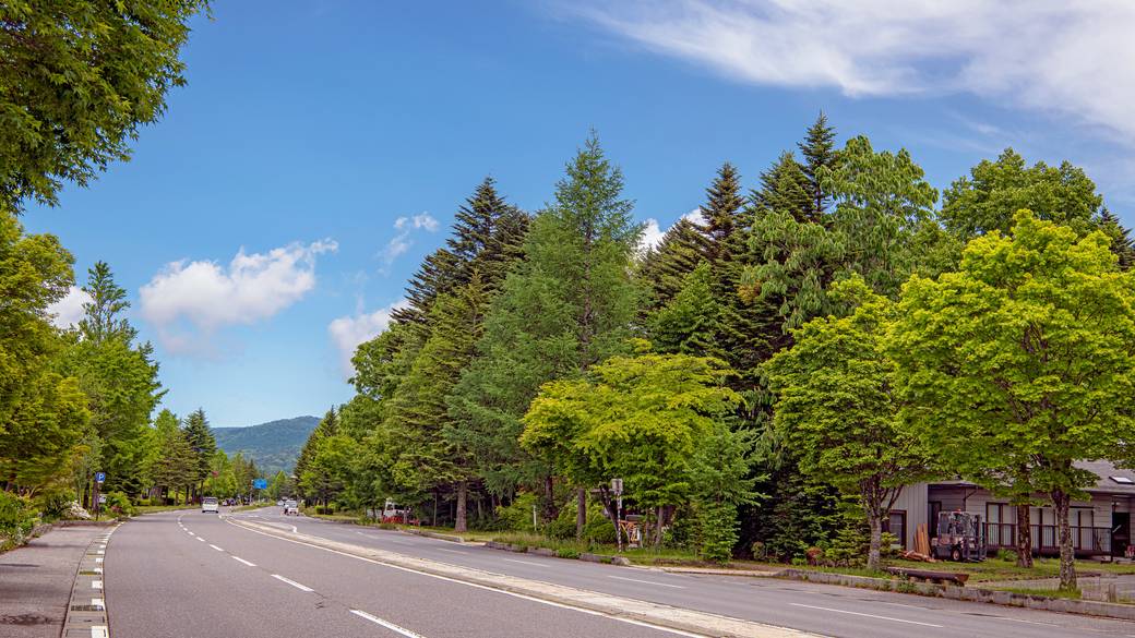 緑あふれる
軽井沢へドライブ旅
 / 1