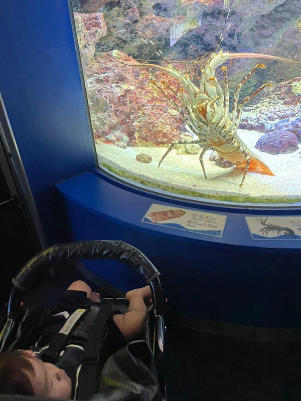 lalala_okinawa58さんの写真 / 3