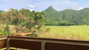 施設からの眺望 / 18