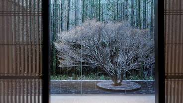 THE THOUSAND KYOTO（ザ サウザンド キョウト）（ザ サウザンド キョウト） / 12