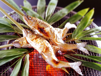 長良川鵜飼を知るならイチオシ◎鵜匠家一統の宿3518268