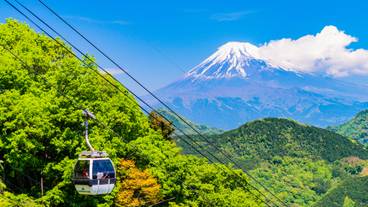 伊豆パノラマパーク / 1