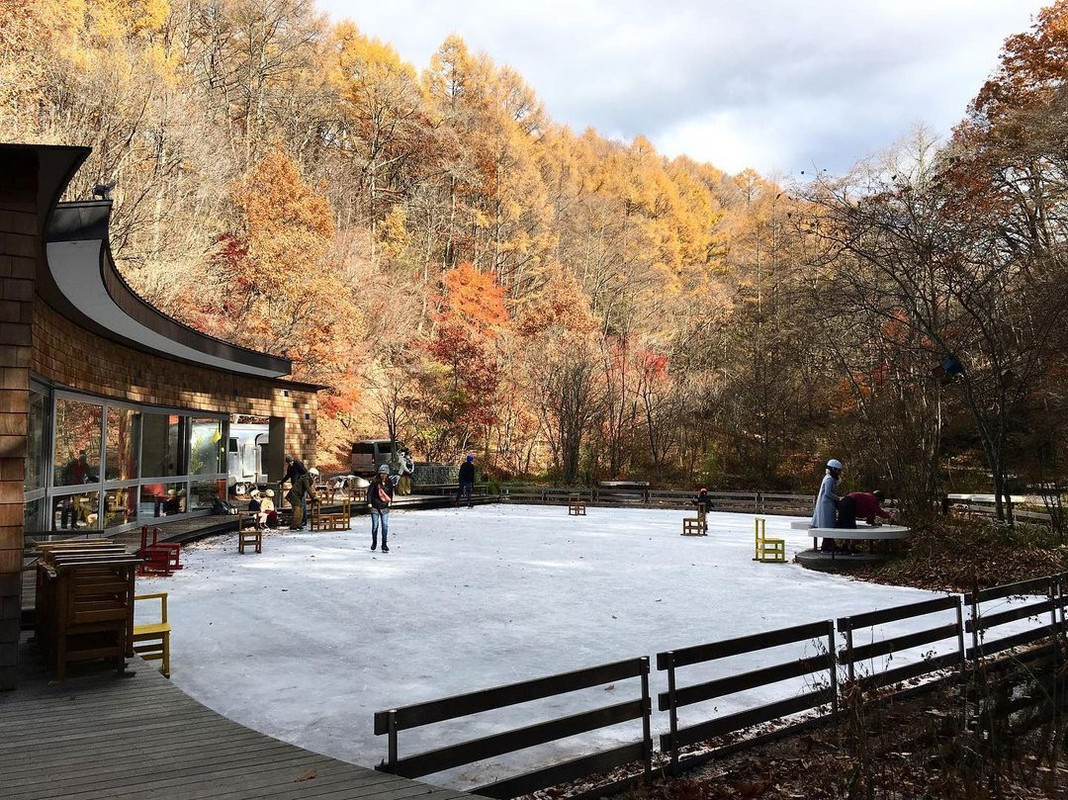 hashi_yumiさんの写真 / 1