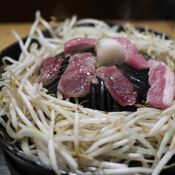 「生ラムジンギスカン 山小屋」料理 1028955 ラムとエゾシカ