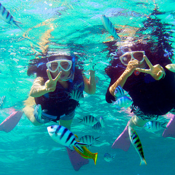 スイスイと人魚になった気分「シュノーケリング」4269955