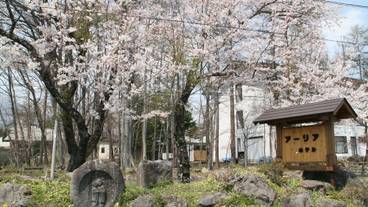 施設の敷地 / 13