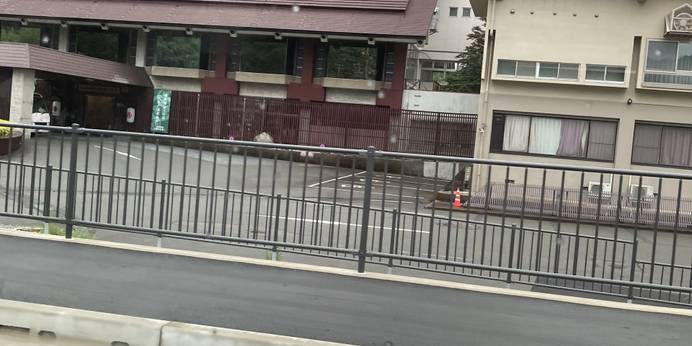 大江戸温泉物語Premium きのさき（兵庫県 旅館） / 1