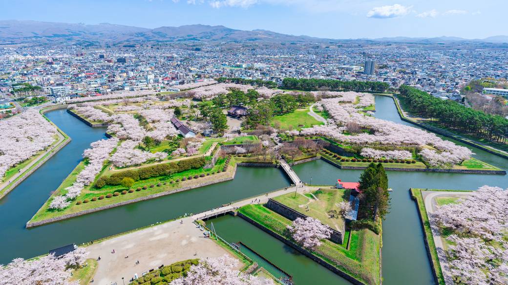 春の五稜郭公園 / 1