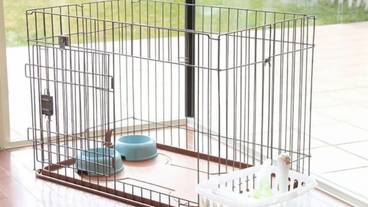 ペット同伴可 / 4