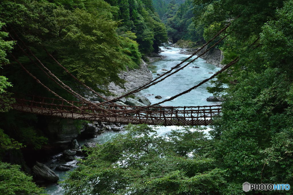 『徳島』ってどんな見どころがあるの？3475894