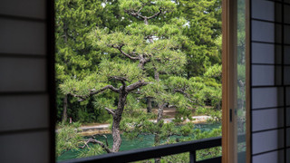 [雪月花] 純和室 10畳