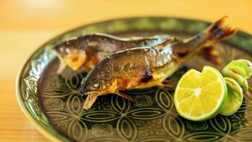 食事・飲み物 / 3