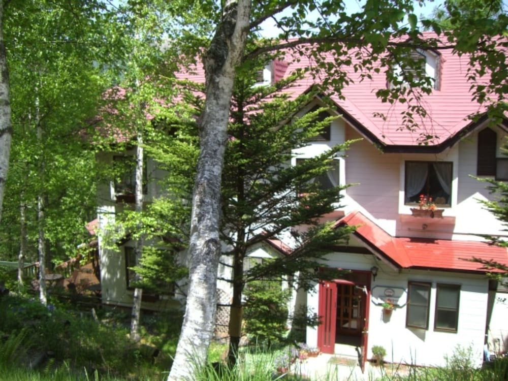 メイン イメージ