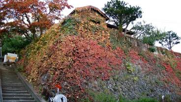 施設の入り口 / 15