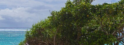 鹿児島の離島でスローライフ女子旅。暮らすように泊まる「伝泊」の宿7選