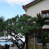 ホテルオーシャンズ 今帰仁（沖縄県 リゾートホテル） / 4