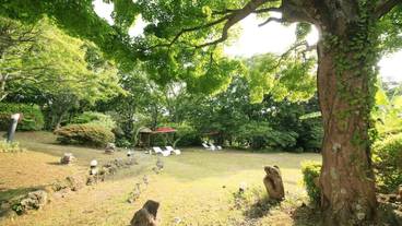 アンダの森 伊豆いっぺき湖（アンダノモリ イズイッペキコ） / 3