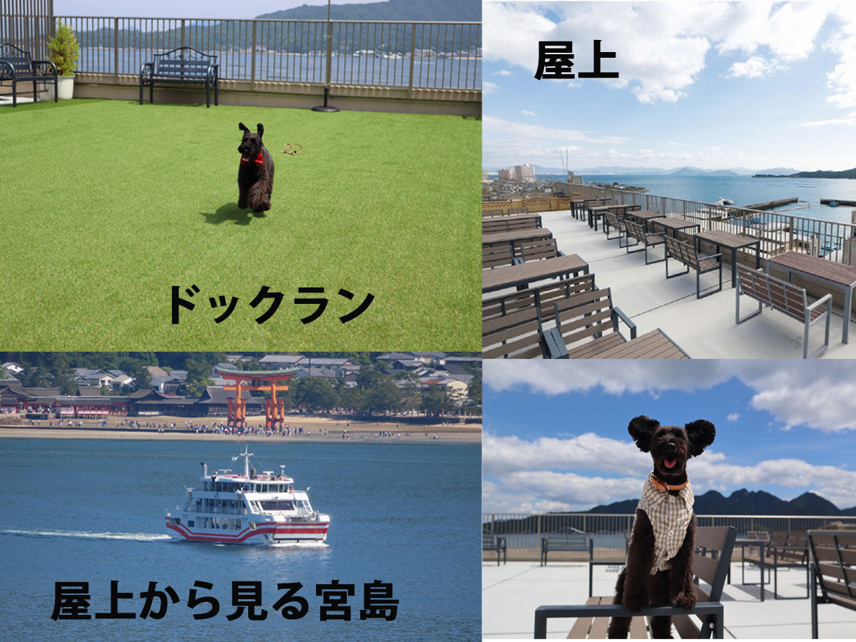 屋上ドッグラン完備。多数のペット用グッズでサポート充実3926152