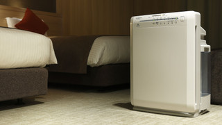 スタンダードクイーンA (禁煙)