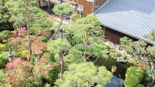 スーペリア スイート 禁煙 ガーデンビュー