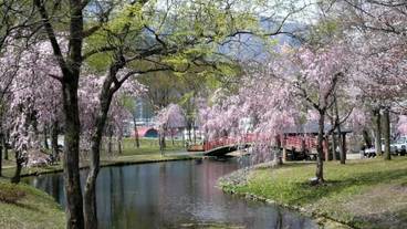 施設の敷地 / 27