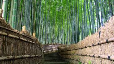 観光スポット / 12