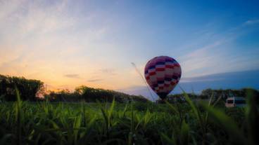 施設からの眺望 / 19