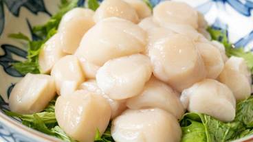 レストラン / 31