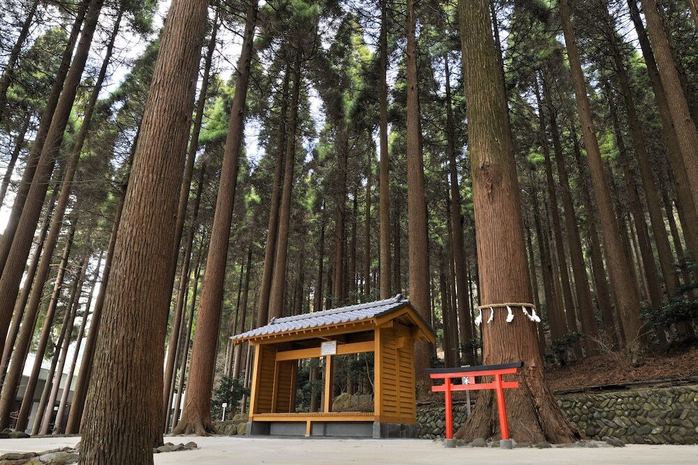 庭園