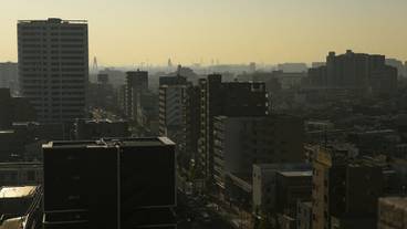 施設からの眺望 / 19