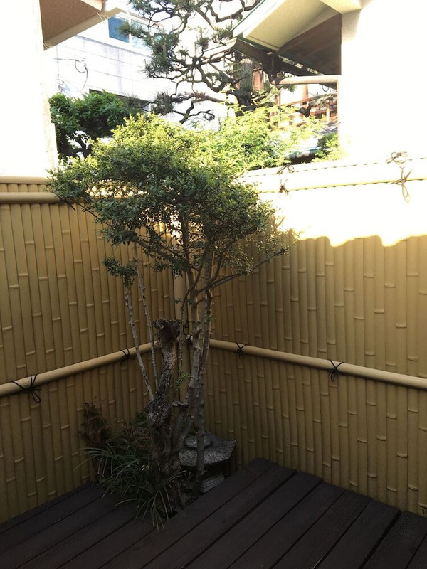 部屋からの景観