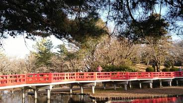 観光スポット / 7