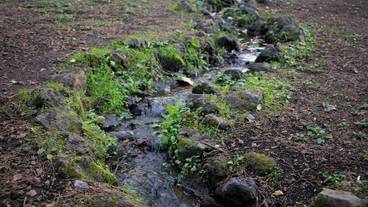 子供用の遊び場 - 屋外 / 16