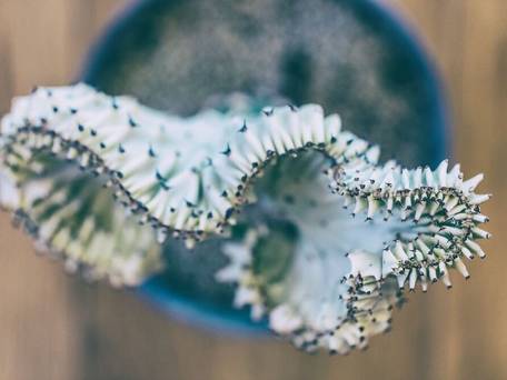 おがわ旅館 Ryokan Ogawa / 2