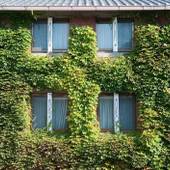 倉敷アイビースクエア（岡山県 旅館） / 2