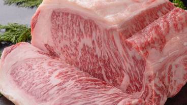 食事・飲み物 / 7