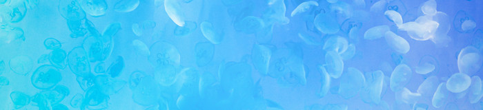 海を楽しむ「大洗」の子連れにおすすめホテル・旅館9選【茨城】