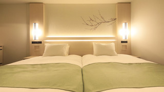 モデレートツイン