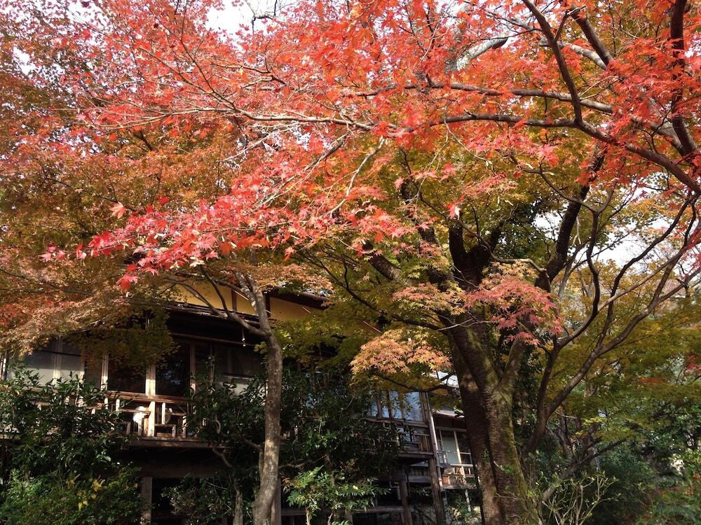 部屋からの景観