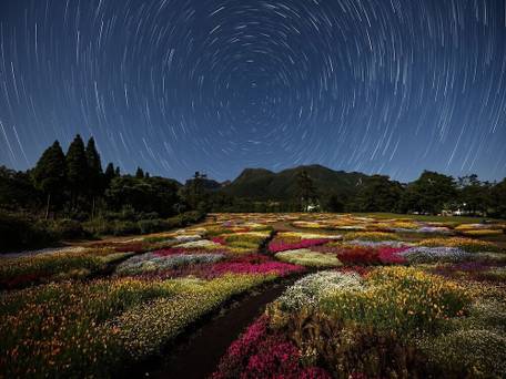くじゅう花公園 キャンピングリゾート花と星 / 2