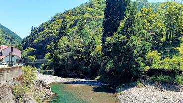 ランド ビュー / 36