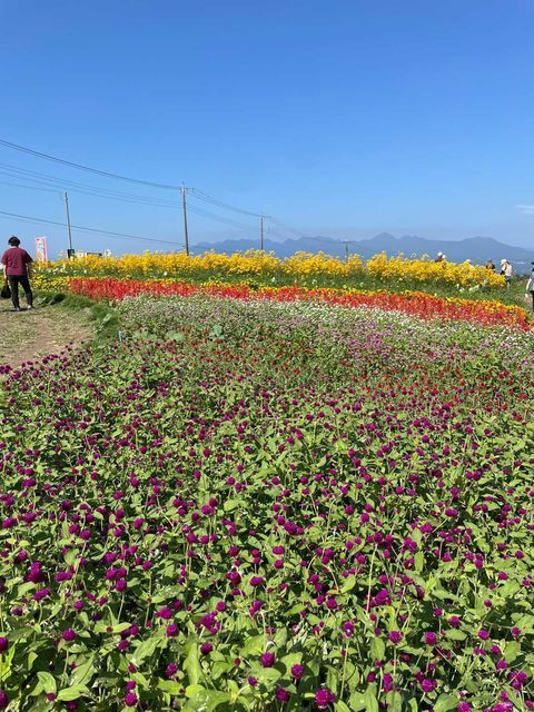 ayamiii_iiさんの写真 / 3