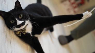 フィットネス設備 / 2