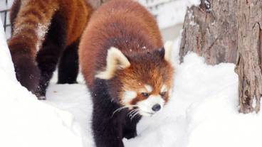 子供向けアクティビティ / 7