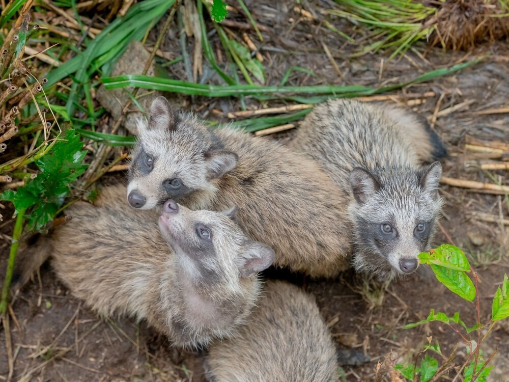 施設からの眺望