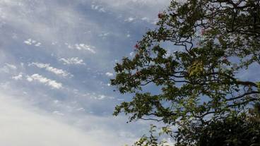 マウンテン ビュー / 3