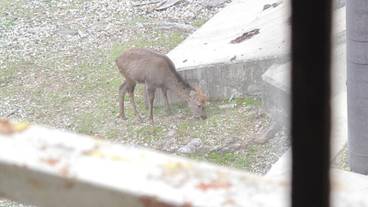 施設の敷地 / 25