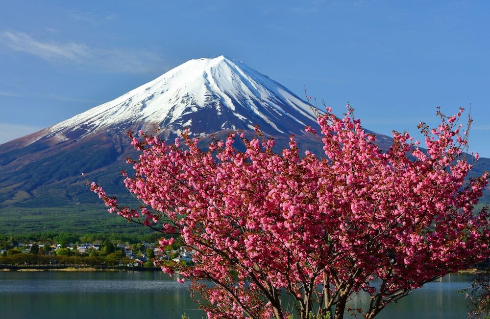 施設からの眺望