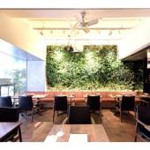 ROPPONGI HOTEL S（六本木 ホテル S）（東京都 シティホテル）：匠の手で仕上げたられた自然素材の壁や床。鮮やかな緑に癒される食事の時間。 / 5