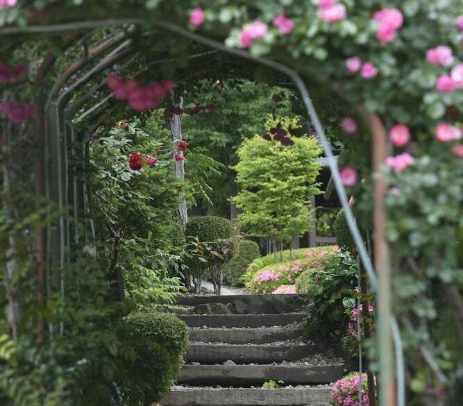 敷地内の自然(2) / 5